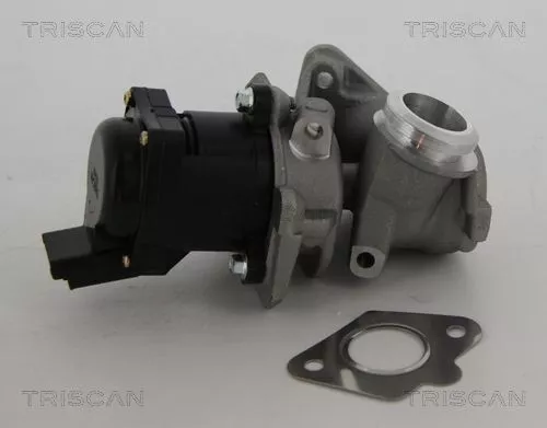 EGR Valve TRISCAN 8813 10010)