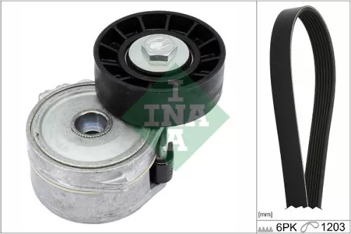 V-ribbed Belt Set Schaeffler INA 529 0226 10)
