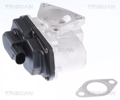 EGR Valve TRISCAN 8813 29003)