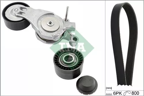 V-ribbed Belt Set Schaeffler INA 529 0213 10)