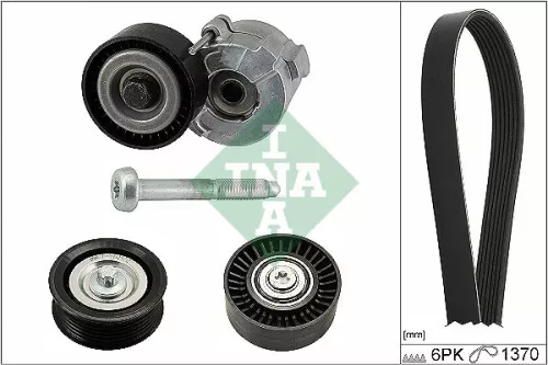 V-ribbed Belt Set Schaeffler INA 529 0190 10)