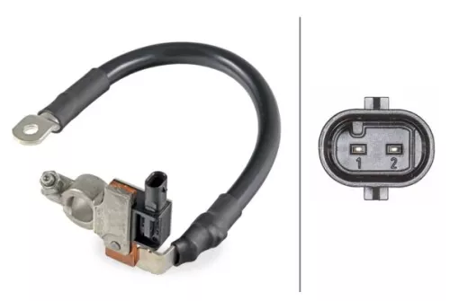 Sensor, battery management HELLA 6PK 010 942-901)