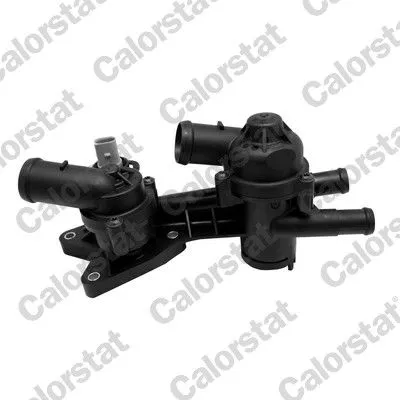 Thermostat, coolant CALORSTAT by Vernet TH7319.80J)