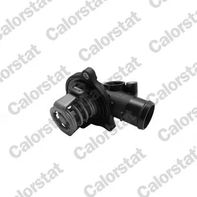 Thermostat, coolant CALORSTAT by Vernet TH7366.87J)