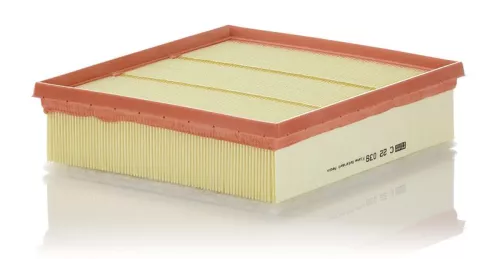 Air Filter MANN-FILTER C 22 039)