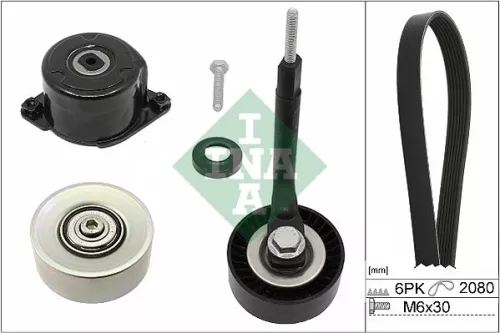 V-ribbed Belt Set Schaeffler INA 529 0314 10)