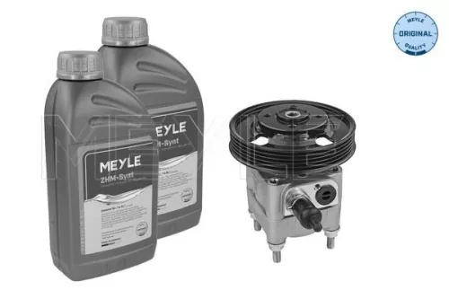 Hydraulic Pump, steering MEYLE 514 631 0021/S)