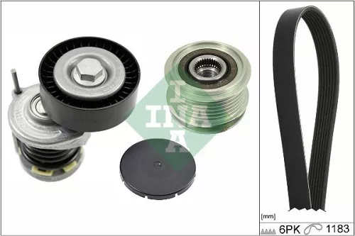 V-ribbed Belt Set Schaeffler INA 529 0466 20)