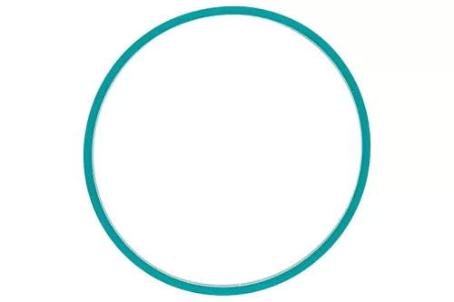 Seal CONTINENTAL/VDO A2C59516956)