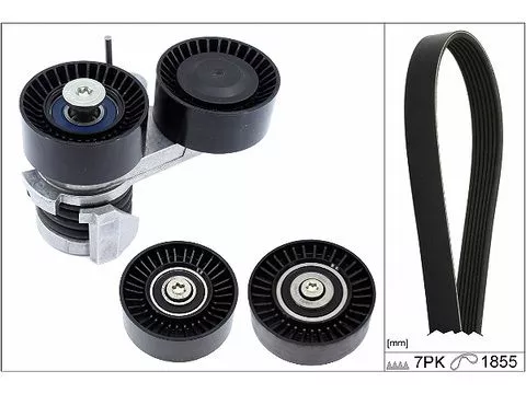 V-ribbed Belt Set Schaeffler INA 529 0495 10)