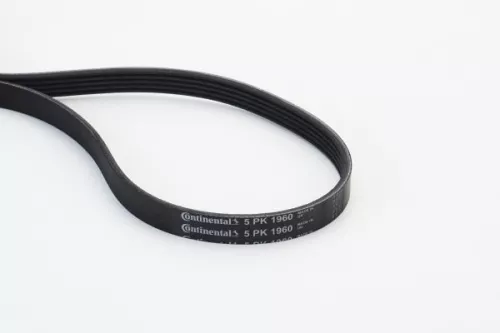 V-ribbed Belt CONTINENTAL CTAM 5PK1960)