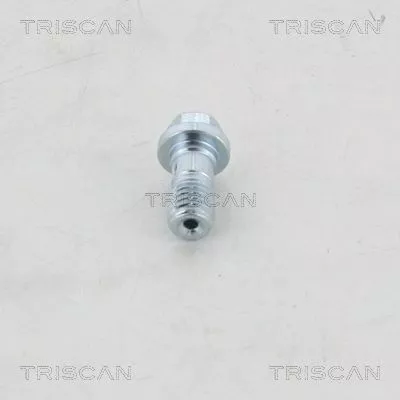 Banjo Bolt TRISCAN 8105 3252)