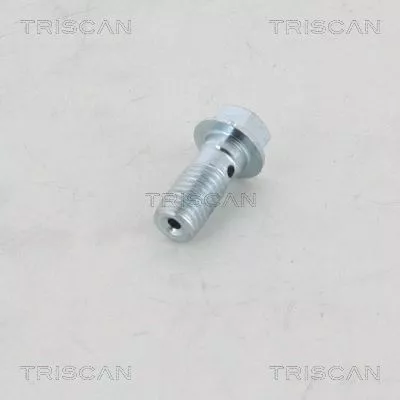 Banjo Bolt TRISCAN 8105 3257)