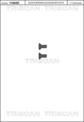 Screw Set, brake disc TRISCAN 8105 116006)