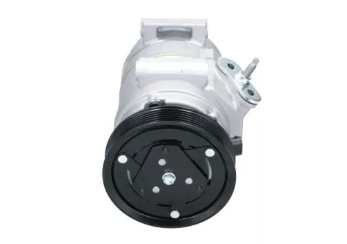 Compressor, air conditioning BV PSH 090.135.069.040)