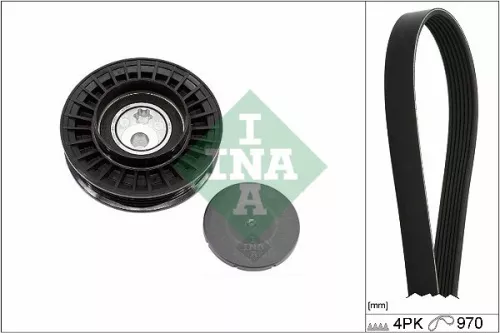 V-ribbed Belt Set Schaeffler INA 529 0579 10)