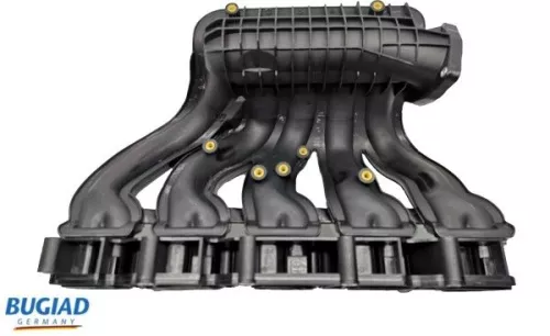 Intake Manifold Module BUGIAD BIM17005)