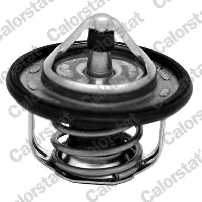 Thermostat, coolant CALORSTAT by Vernet TH7300.95J)