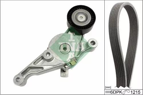 V-ribbed Belt Set Schaeffler INA 529 0462 10)