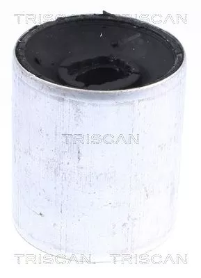 Mounting, control/trailing arm TRISCAN 8500 118008)