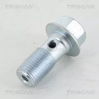 Banjo Bolt TRISCAN 8105 3256)
