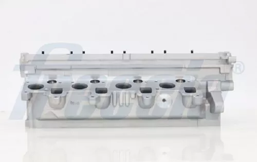 Cylinder Head FRECCIA CH17-1025)