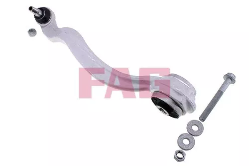 Control/Trailing Arm, wheel suspension Schaeffler FAG 821 0981 10)