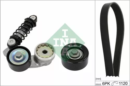 V-ribbed Belt Set Schaeffler INA 529 0546 10)