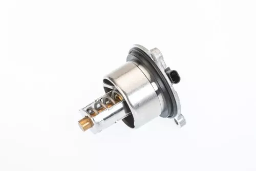 Thermostat, coolant BorgWarner (Wahler) 411076.104D)