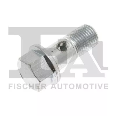 Banjo Bolt, charger FA1 989-10-008)