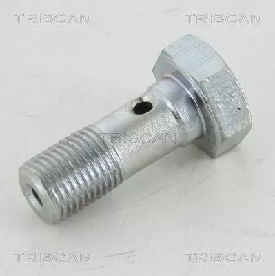 Banjo Bolt TRISCAN 8105 3254)