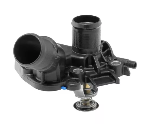 Thermostat, coolant BorgWarner (Wahler) 411025.89D)