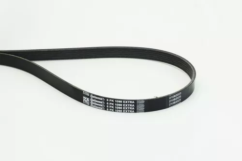 V-ribbed Belt CONTINENTAL CTAM 6PK1098 EXTRA)