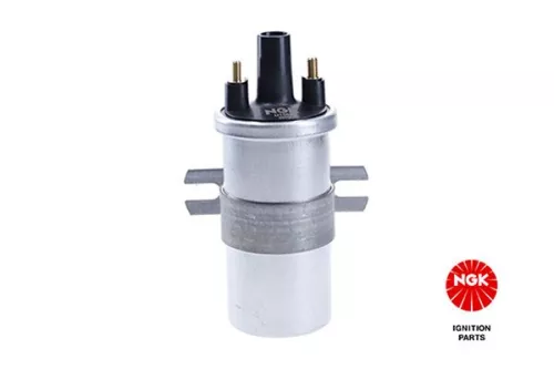 Ignition Coil NGK 48300)