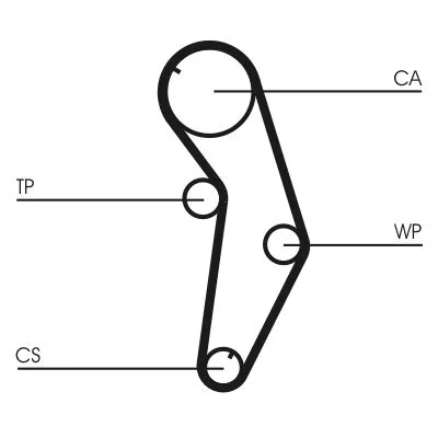 Timing Belt CONTINENTAL CTAM CT821)