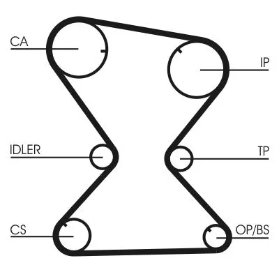 Timing Belt CONTINENTAL CTAM CT842)