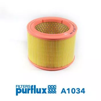 Air Filter PURFLUX A1034)