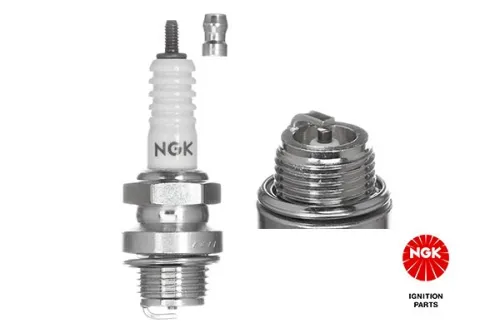 Spark Plug NGK 3010)