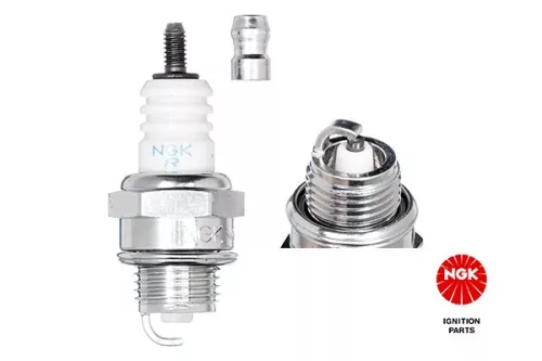 Spark Plug NGK 1029)