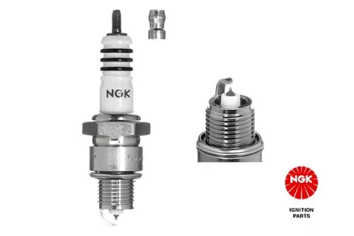 Spark Plug NGK 6742)