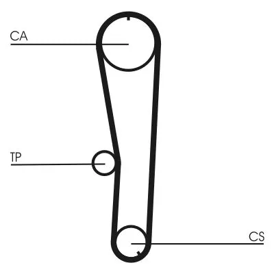 Timing Belt CONTINENTAL CTAM CT1072)