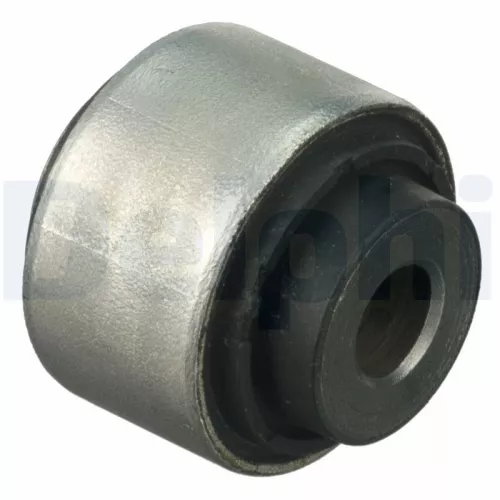 Mounting, control/trailing arm DELPHI TD298W)