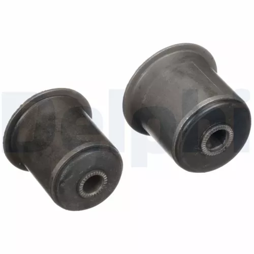 Mounting, control/trailing arm DELPHI TD494W)