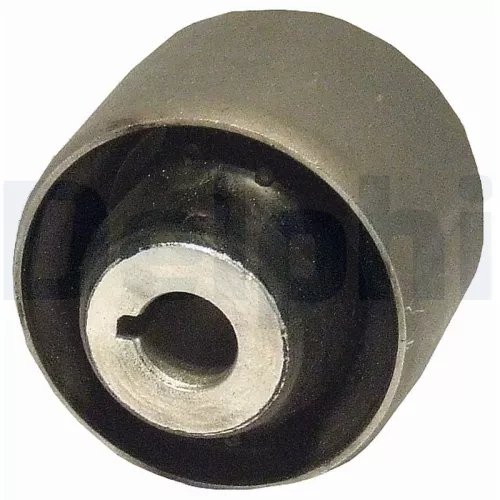 Mounting, control/trailing arm DELPHI TD606W)