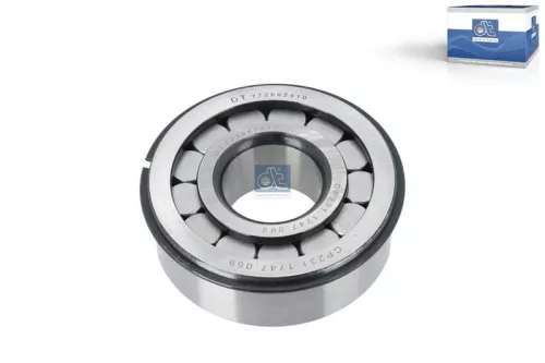 Needle Bearing, axle beam DT Spare Parts 1.16069)