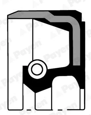 Shaft Seal, camshaft PAYEN NP067)