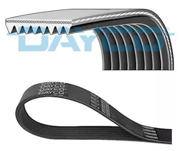 V-ribbed Belt DAYCO 8PK2110HD)