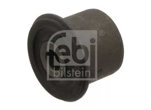Mounting, control/trailing arm  31271)