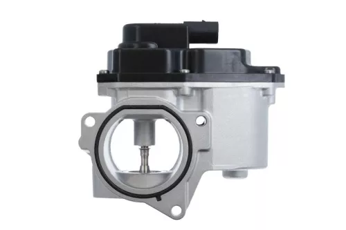EGR Valve VALEO 700424)