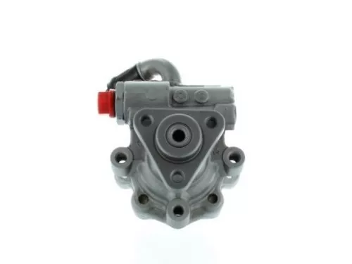 Hydraulic Pump, steering SPIDAN 54369)